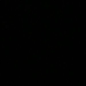 Meet your Posher, Chase